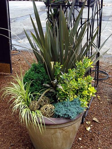 Name:  hardy-container-garden.jpg
Views: 1724
Size:  59.6 KB