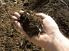 Name:  compost0.jpg
Views: 1421
Size:  35.4 KB