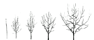 attachmentphp?attachmentid1408&ampd1147881986