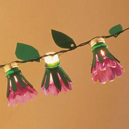 Name:  spring-bulbs-craft-photo-260-ff0505almea01.jpg
Views: 35182
Size:  12.0 KB