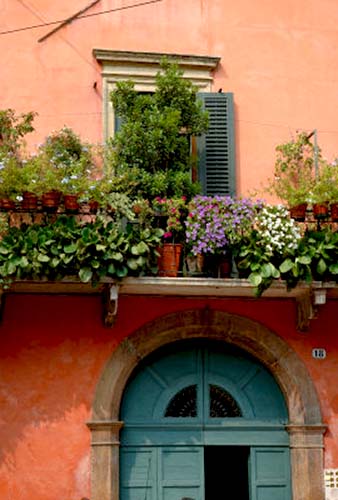 Name:  EU16LEN0286~Balcony-Garden-in-Historic-Town-Center-Verona-Italy-Posters.jpg
Views: 25984
Size:  50.0 KB