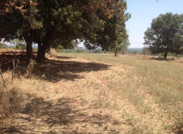 Ev yapımları hakkında - Page 37 - agaclar.net