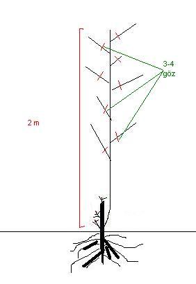 Name:  7.JPG
Views: 1782
Size:  10.8 KB