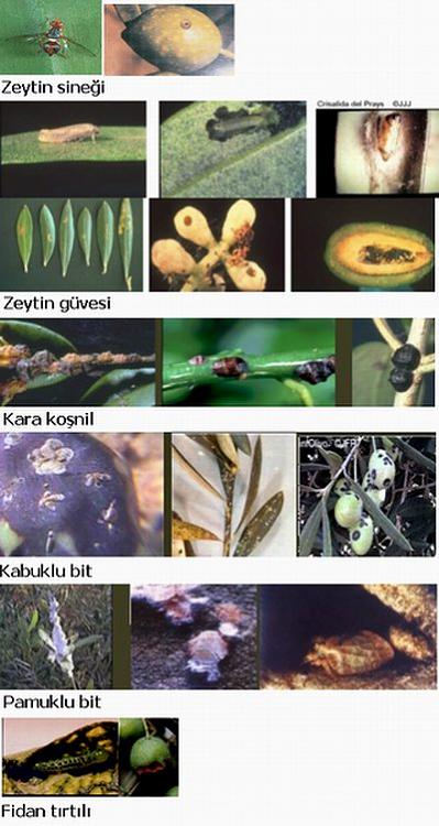 attachmentphp?attachmentid58046&ampd1231104869