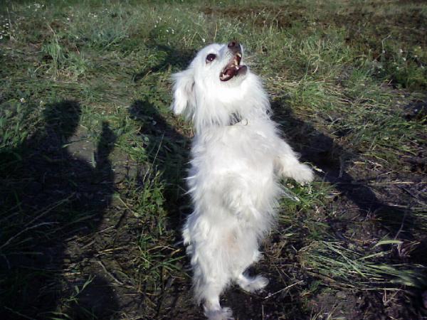 attachmentphp?attachmentid59171&ampd1232216673