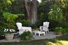 Name:  outdoor-sitting-area-under-tree.jpg
Views: 4540
Size:  10.4 KB