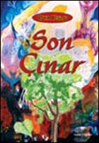 Name:  cinar.jpg
Views: 2102
Size:  9.2 KB