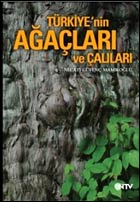Name:  turkiyeagaclar.jpg
Views: 1624
Size:  9.6 KB