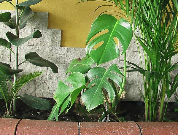 attachmentphp?attachmentid9932&ampstc1&ampd1177797648