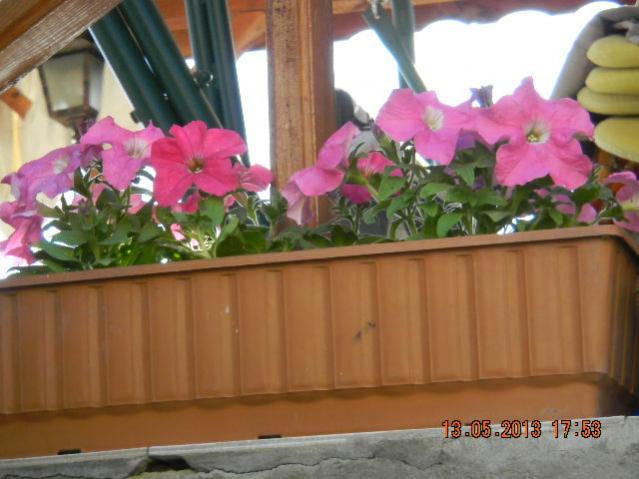 Name:  126-DSCN3045.jpg
Views: 1361
Size:  41.7 KB