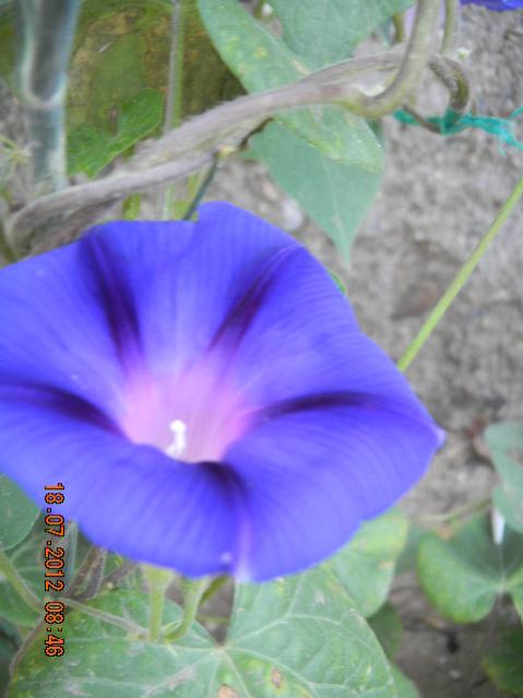 Name:  DSCN2173.jpg
Views: 1356
Size:  34.2 KB
