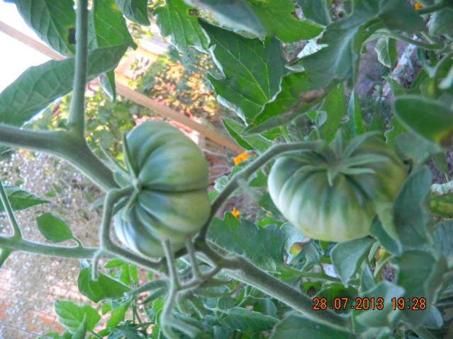 Name:  DSCN3363.jpg
Views: 998
Size:  54.2 KB