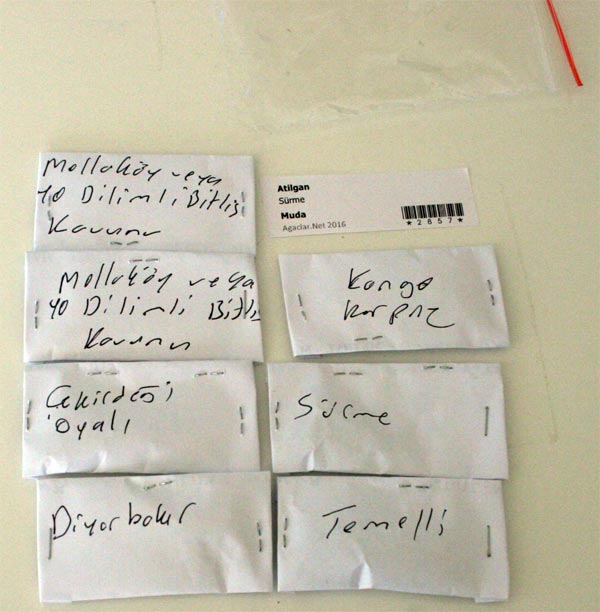 Name:  muda4.jpg
Views: 520
Size:  52.1 KB