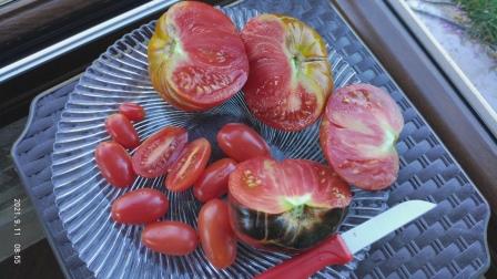 Name:  Pembe oval çeri domates iç 2.jpg
Views: 370
Size:  34.1 KB