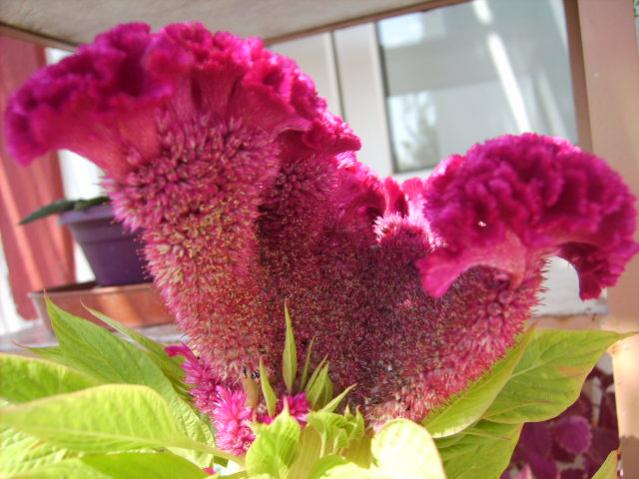 Name:  resim 1207.jpg
Views: 25475
Size:  47.5 KB