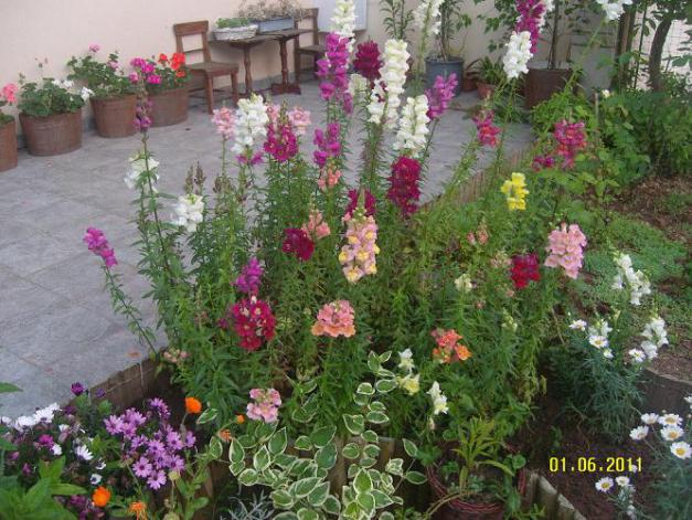 Name:  aslanaz17.jpg
Views: 5515
Size:  71.0 KB