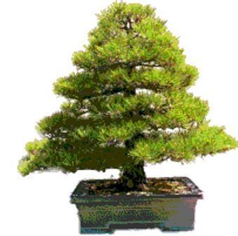 Name:  formal upright  Dik stil.jpg
Views: 5954
Size:  20.9 KB