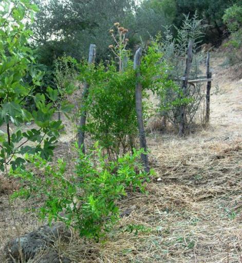 Name:  13-temmuz-13.jpg
Views: 1539
Size:  70.8 KB