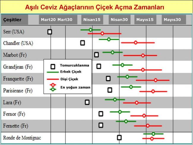 Name:  Ceviz_agac_____i__eklenme_zamanlar__.jpg
Views: 8725
Size:  49.6 KB