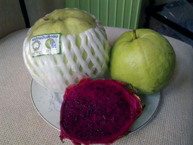 Name:  Guava & Pitaya.jpg
Views: 4507
Size:  43.6 KB