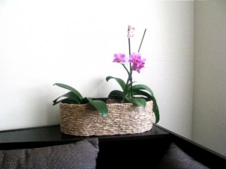 Name:  karton-kutudan-sepet-yapimi-15.jpg
Views: 2187
Size:  14.6 KB