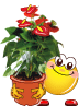 Name:  2975.gif
Views: 2022
Size:  8.6 KB