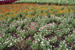 Name:  DSC01649.JPG
Views: 942
Size:  61.0 KB