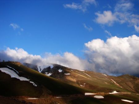 Name:  vildanzigana1.jpg
Views: 2846
Size:  30.6 KB