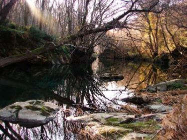Name:  karacak�498.jpg
Views: 784
Size:  52.7 KB