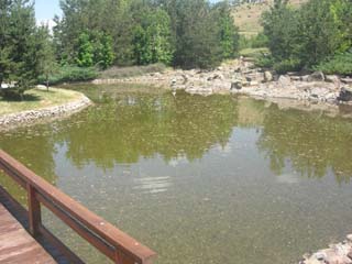 Name:  DSCN7101.JPG
Views: 3665
Size:  34.4 KB