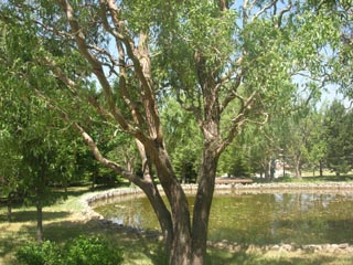 Name:  DSCN7113.JPG
Views: 3760
Size:  53.2 KB