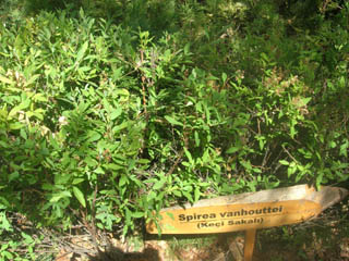 Name:  DSCN7216.JPG
Views: 3073
Size:  56.4 KB