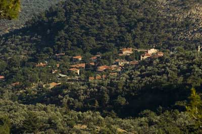 Name:  ye�ilyurt_1.jpg
Views: 1092
Size:  58.6 KB