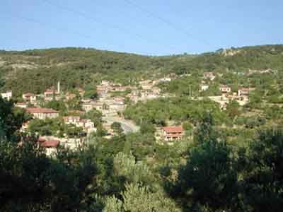 Name:  ye�ilyurt_2.jpg
Views: 1105
Size:  40.7 KB