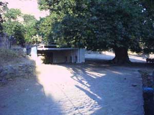 Name:  f0101.jpg
Views: 1136
Size:  41.6 KB
