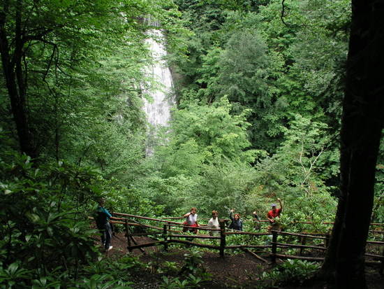 Name:  P1011379-4.JPG
Views: 1104
Size:  67.2 KB