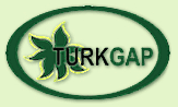 Name:  turkgap.gif
Views: 12761
Size:  6.0 KB