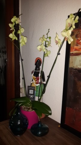 Name:  orkide yprk sorun 4.jpg
Views: 12922
Size:  30.3 KB