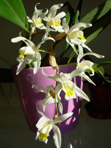 Name:  DSCN7863.JPG
Views: 115
Size:  65.4 KB