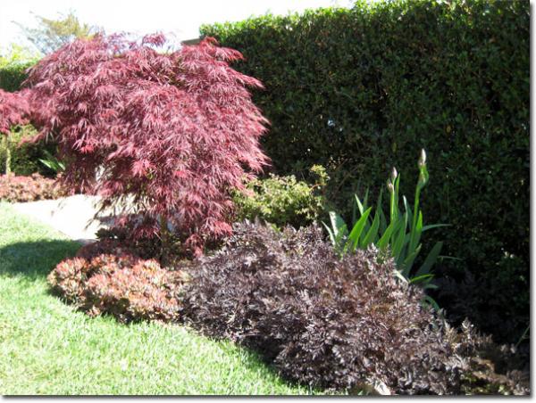 Name: sausalito_gardentour.jpg
Views: 1950
Size: 71.6 KB