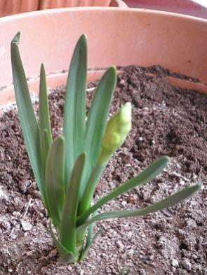 Name:  1f-11.03.2012 - Kopya.jpg
Views: 1076
Size:  28.5 KB