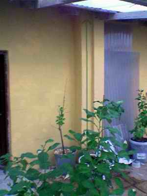 Name:  Image(524).jpg
Views: 12451
Size:  10.1 KB
