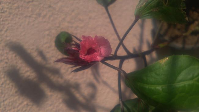 Name: 20171208_123810.jpg
Views: 177
Size: 20.9 KB