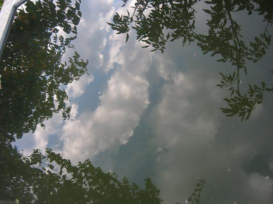 Name:  bulutlar havuzda.JPG
Views: 1847
Size:  50.2 KB
