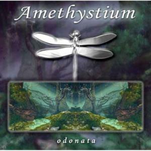 Name:  Amethystium - Odonata.jpg
Views: 272
Size:  16.9 KB