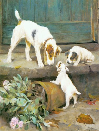 Name:  Jack russel terrier ve yavrular.jpg
Views: 2795
Size:  47.6 KB