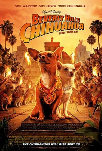 Name:  the chihuahaus will rise sept 26.jpg
Views: 1422
Size:  43.1 KB