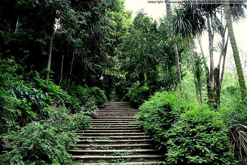 Batum Botanik Park