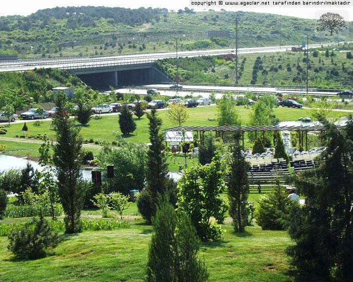 Nezahat Gkyiit Botanik Park