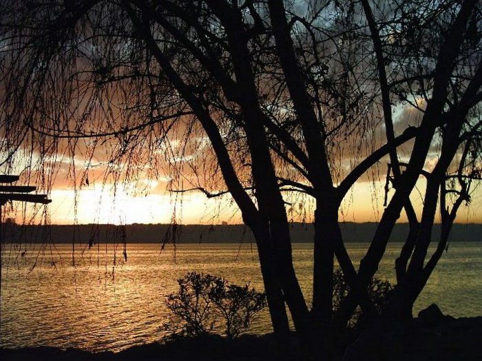 A�a� Resimleri (3. Katalog)